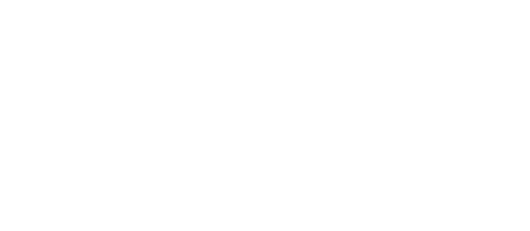 Single Software